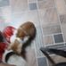 Tammy Katt - Facebook