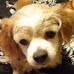 Tammy Katz - Facebook