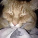 Tammy Keating - @tammykeating1 - Instagram