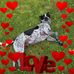 Tammy Morey -keating - Facebook