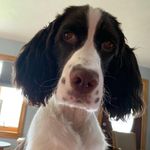 Tammy Soracco-Keeling - @tjkeeling - Instagram