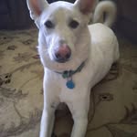 Tammy Shoffner Keesee - @tammykeesee - Instagram
