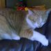 Tammy Kidder - Facebook