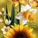 Tammy Killens - @tammykillens - Instagram