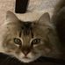 Tammy Killough - Facebook