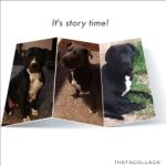 Tammy Killough Armstrong - @tjkillo - Instagram