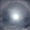 Tammy Kincaid - @tammy.kincaid4 - TikTok