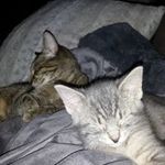 tammy kincaid - @tammy_kincaid - Instagram
