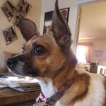 Tammy Kincaid - @tammy_a_kincaid - Instagram
