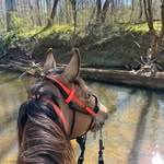 Tammy Kincaid - @tammykincaid40 - Instagram