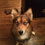 Tammy Kincaid Foley - @tammykincaidfoley - Instagram