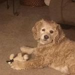 Tammy Klinger - @klingertammy - Instagram