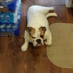 Tammy Knapp - @tammy.knapp - Instagram