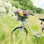 Tammy Knepper - @knepper.tammy - Instagram