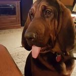 Tammy Knepper - @kneppertammy - Instagram
