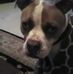 Tammy Knisley - Facebook