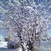 Tammy Kranz - Facebook