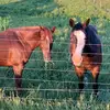 Tammy Landreth800 - @tammylandreth1 - TikTok