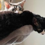 Tammy Lanier Weiner - @lanierweiner - Instagram