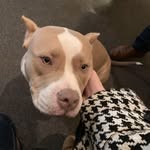 Larry Tammy - @tammylarry435 - Instagram