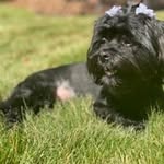 Tammy Larry Smith - @tammylarrysmith - Instagram