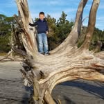 Tammy-Larry Wentland - @tammylarrywentland - Instagram