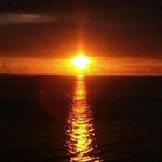 Tammy Latimer - @latimertammy - Instagram