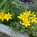 Tammy Latimer - Facebook
