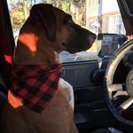 Tammy Laughlin - @tglswife - Instagram
