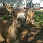 Tammy Laughlin - @tntlaughlin21 - Instagram