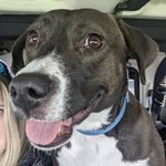 Tammy Leslie Laughlin - @tammy_laughlin - Instagram
