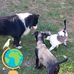 Tammy M McLaughlin - Facebook