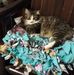 Tammy Layfield - Facebook