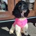 Tammie Layman - Facebook