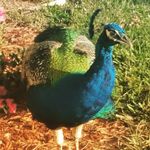 Tammy. layman - @tammy._layman - Instagram