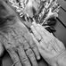 Tammy LeClair Hamilton - Facebook