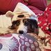 Tammy Leech - Facebook