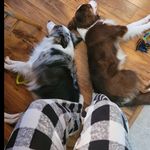 Tammy Leech - @tlynnluv - Instagram