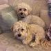 Tammy Leeper - Facebook