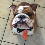 Tammy Legg Krech - @tamrn28 - Instagram