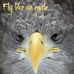 Tammy Pittenger Legg - Facebook