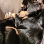Tammy Bryant Lehner - @tammy.mckee3 - Instagram