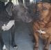 Tammy Lemasters - Facebook