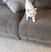 Tammy Lemay - Facebook