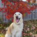 Tammy Lemmer - Facebook