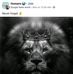 Tammy Lenart - Facebook