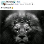 Tammy Lenart - @tammy.lenart.756 - Instagram