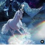 Tammy Lenart - Facebook