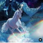 Tammy Lenart - @lenart3753 - Instagram