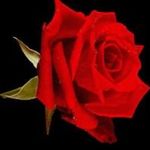 Tammy Southerland Lilly - @tammysoutherlandlilly - Instagram